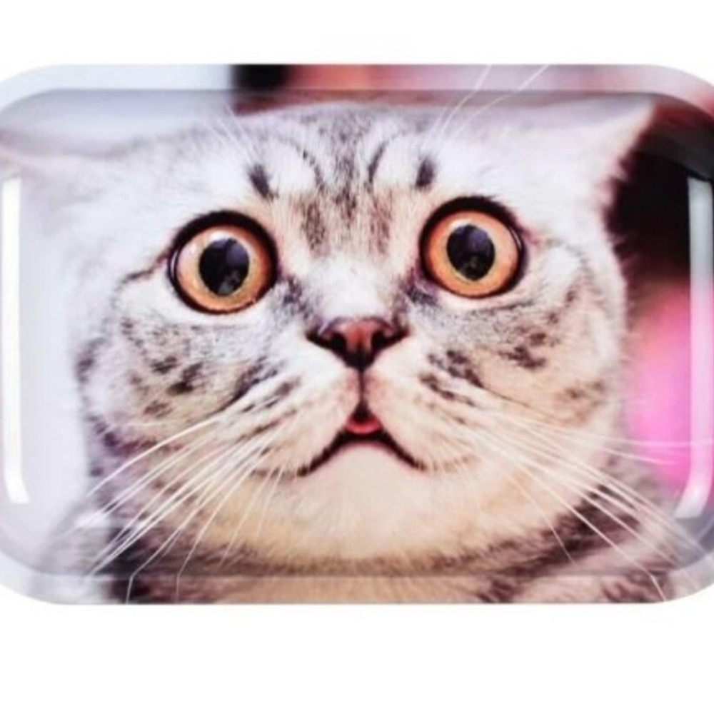 Pulsar startling cute cat animal print rolling tray organizer - medium